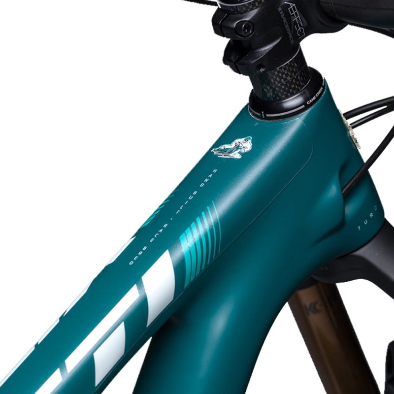 Dyedbro Frame Protection Wrap Clear Matte Black